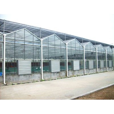 kwaliteit  Tomato Mushroom Growing with Commercial Hydroponic Systems Gothic Polycarbonate Cover Type Greenhouse fabriek