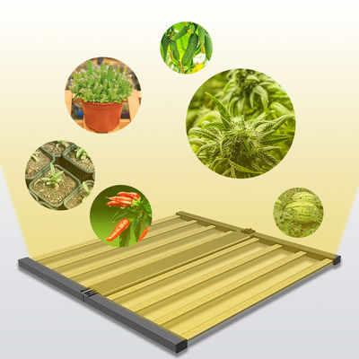 kwaliteit  Seed Seed Growing Full Spectrum 600W Indoor Plants Hydroponic Lamp Folding Greenhouse Lamp Dimmable 4x4 lm301h Led Grow Light fabriek