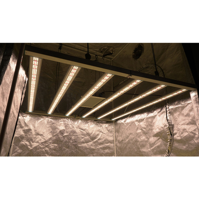 Het zaad die Geleide Aanpassing beginnen kweekt Lichte Volledige Spectrum Binneninstallatie, Samsung Lm301B Binnen Geleide Installatie de Spin Licht kweekt