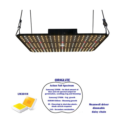 Seed Starting Greenhouse Grow Lamp Hydroponic Cob Horticulture Full Spectrum Led To Grow Light